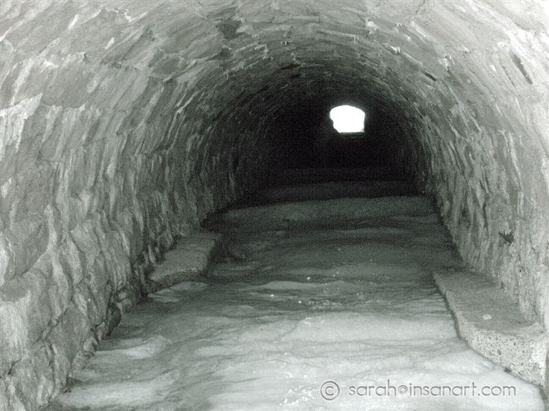 DSC02769