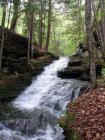 Landrus, PA & Area