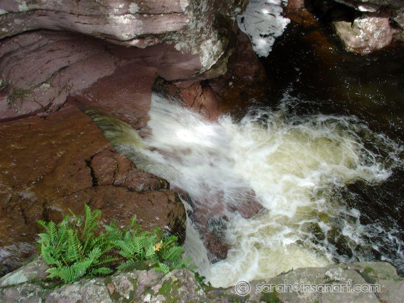 DSC01004