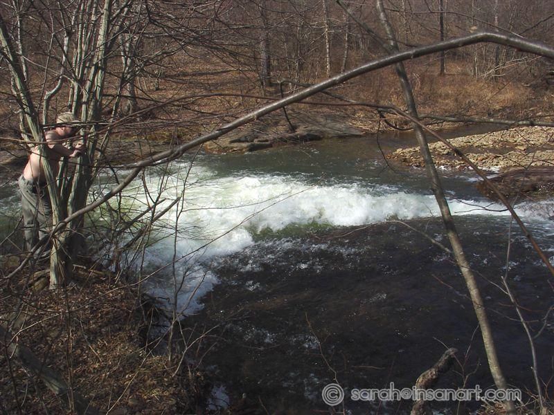 DSC03029