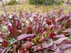 DSC02398
