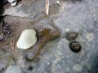 DSC09735