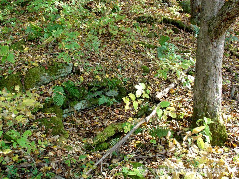 Springhouse