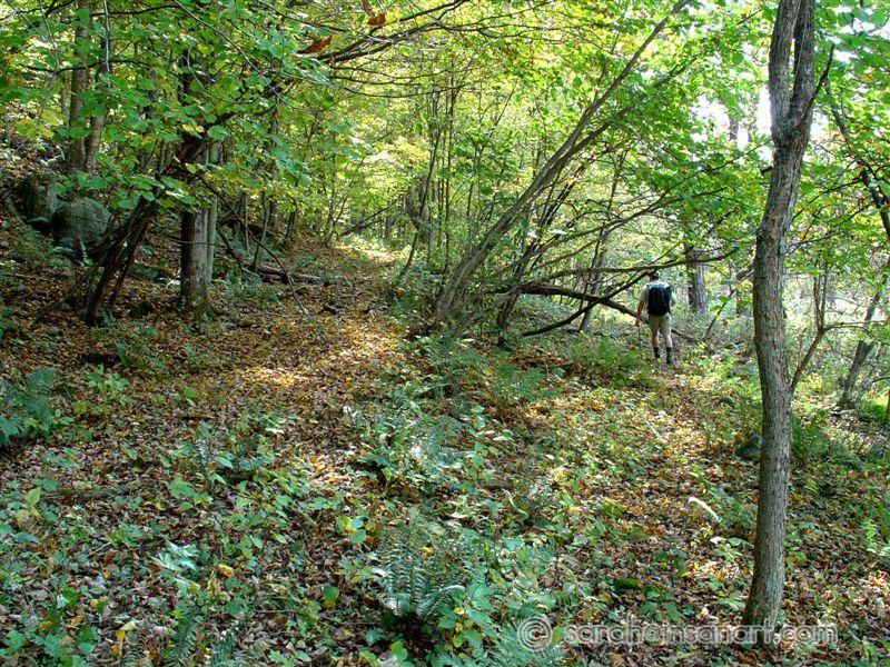 Back Street, in SW Town