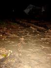 DSC00708
